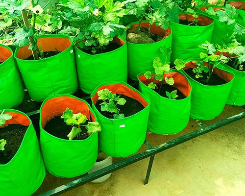 Grow Bags
