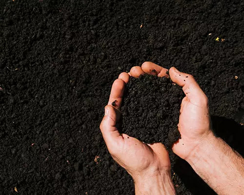 Soil & Fertilizers