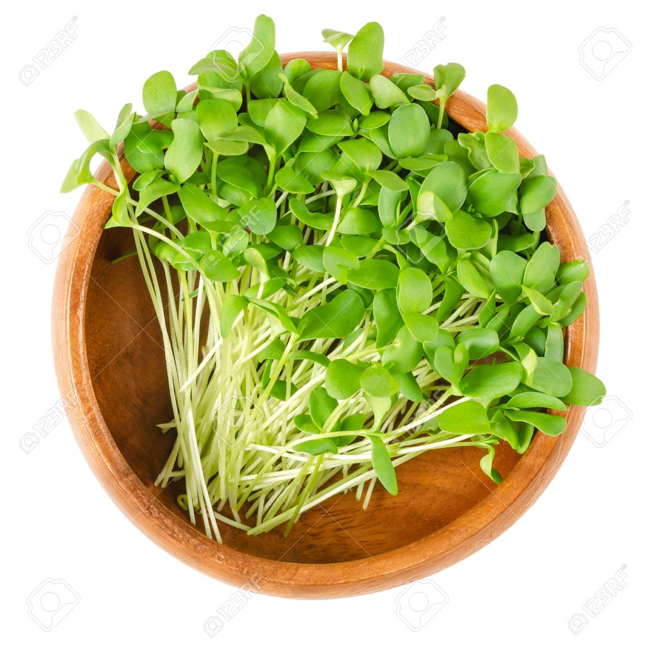 Flax Seeds (Desi) ( అవిసెలు ) ( Aviselu )