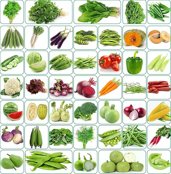 Rainy Season Seeds Combo (35 Types )