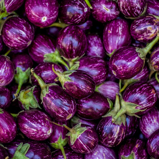 Brinjal Purple Round (cluster) – Regular Desi Brinjal Seeds