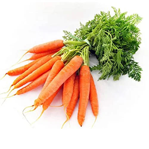 Buy All Types Of Carrots Combo Pack of 5 Seeds