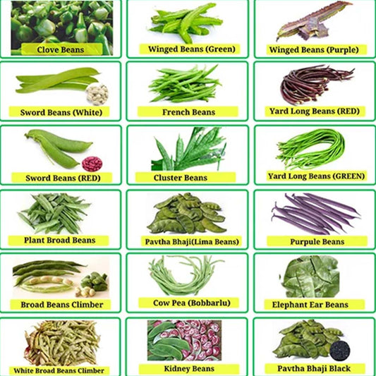 Buy All Types Of Beans Combo (Pack of 18 Verities) (Chikkudukaya)