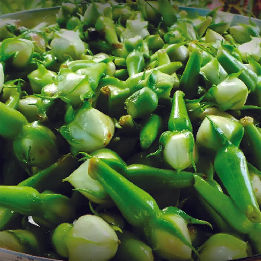Clove Beans Green Desi Vegetable Seeds
