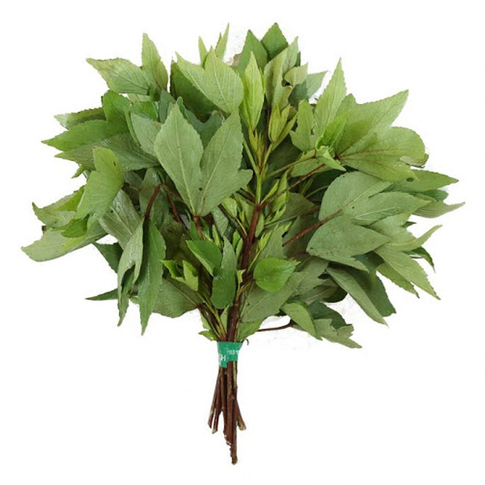 Gongura White Seeds – గోంగూర తెలుపు