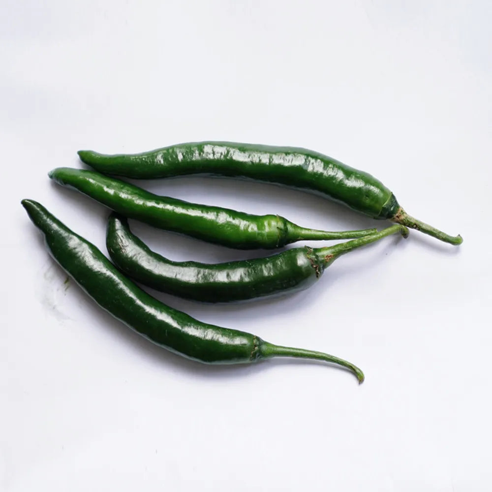 Medium Spicy Chilli Seeds