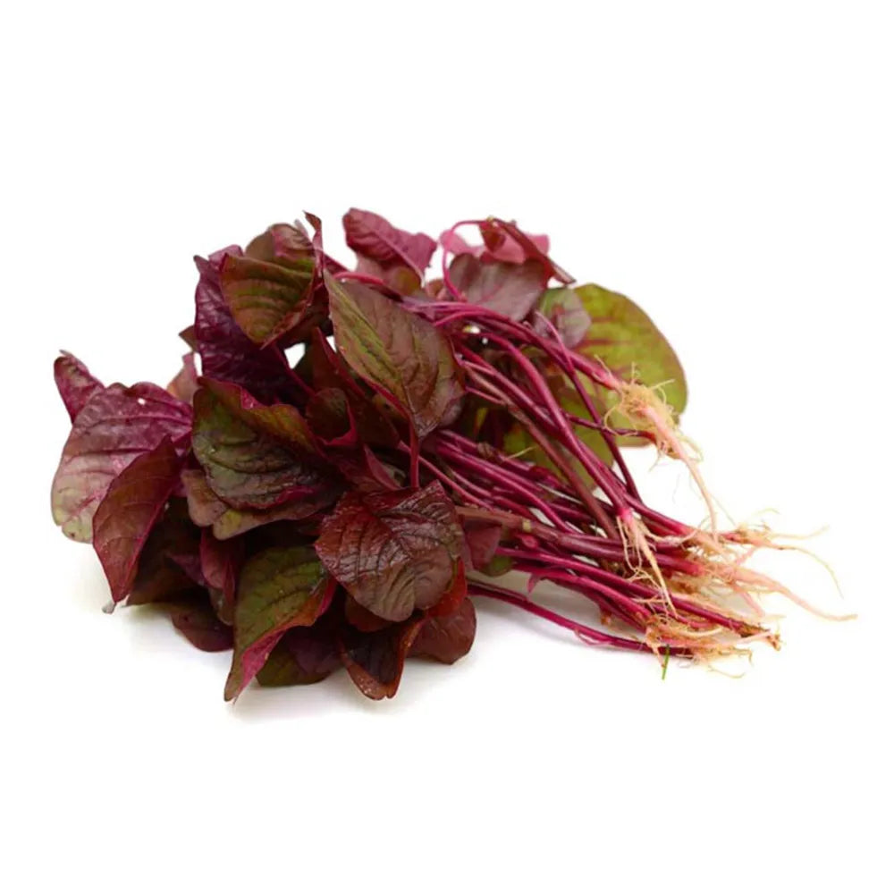 Red Amaranthus Seeds (Desi) ఎర్రతోటకూర ( Thotakura )