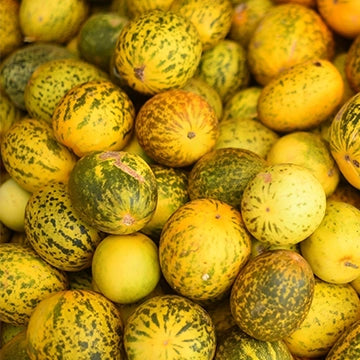 dosakaya seeds planting Buy Round Sambar Cucumber Seeds (Desi ) ( Dosakaya )