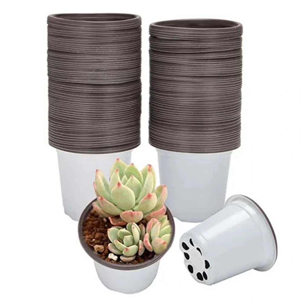 8 inch white plant pot Buy White Color Garden Thermoform Pot 8 Inch
