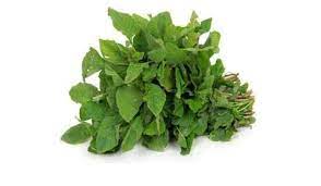 Chaveli Sag Seeds / Chauli (కోయ తోటకూర) ( Thotakura )