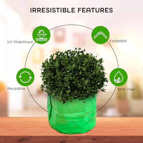 HDPE Grow Bags 240 GMS – 15*15