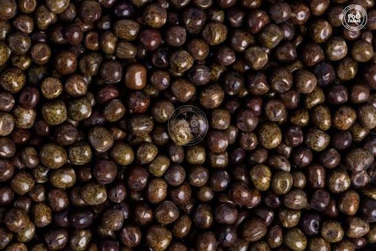 Buy All Types Of Peas Combo Pack of 2 Seeds ( Batanil )