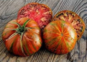 Tiger Tomato Seeds - Desi