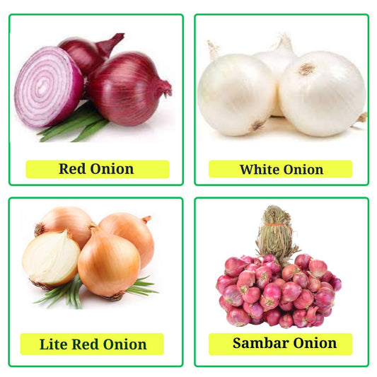 Buy All Types Of Onions Combo Pack of 3 Seeds