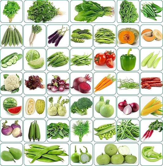 Rainy Season Seeds Combo (35 Types )