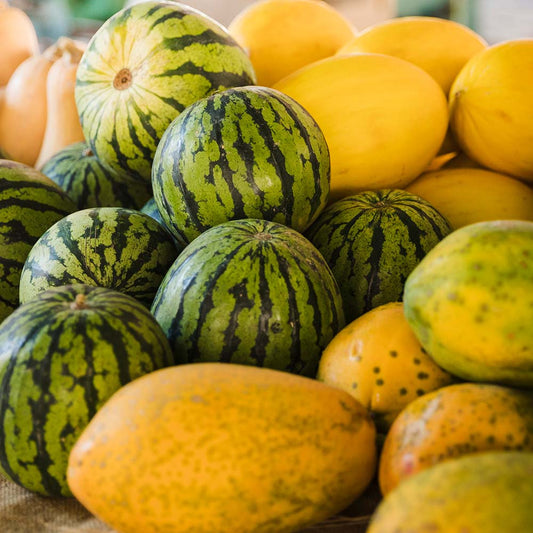 Buy All Types Of Melons Combo Pack of 5 Verities