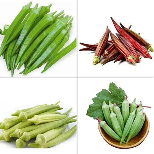 Buy All Types Of Okra (Benda) Combo Pack of 6 Verities ( Bendakaya )