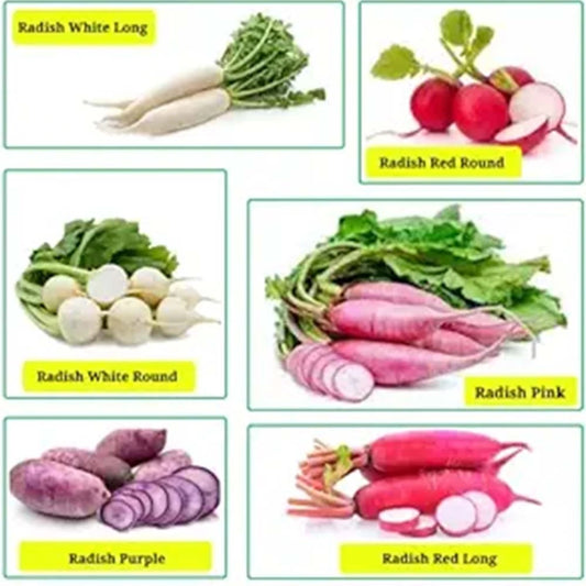 Buy All Types Of Radish Verities (Combo Pack of 7 Verities) ( Mullangi )