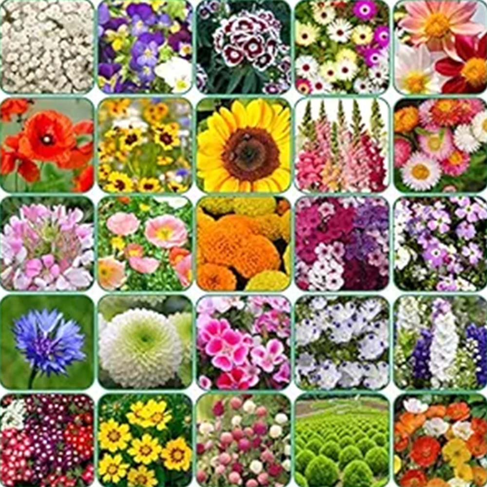 Buy All Types Of Flower Seeds Combo Pack Of 25 Verities Sams Garden