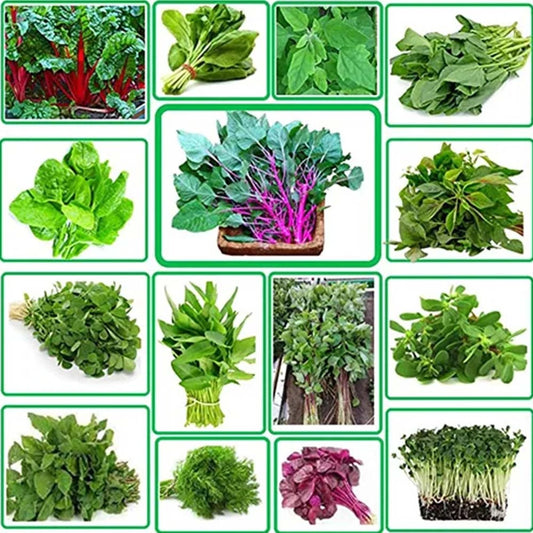 Buy Leafy Vegetables Combo Pack Of 22 Verities ( ఆకుకూరలు ) ( Akukuralu )