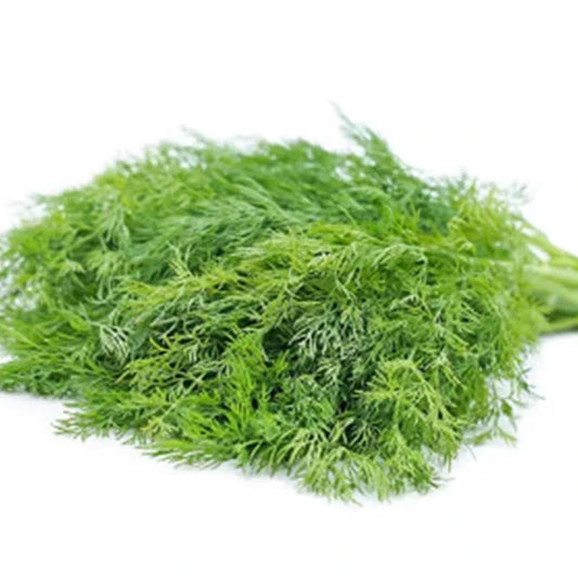 Dill Seeds (Desi) ( Sompu )