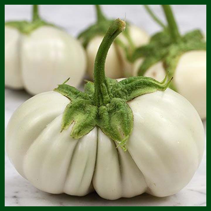 Brinjal White Ribbed Seeds ( Vankaya )