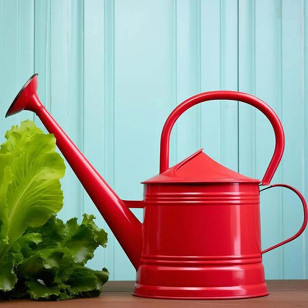 Gardening 5L Premium High-Grade Plastic Watering Can (5 Litre)