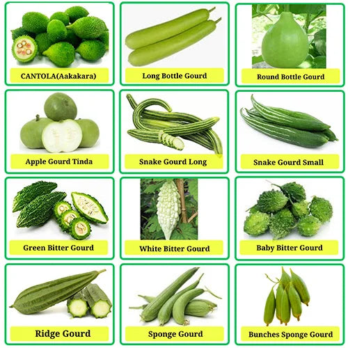 Gourds Combo Buy All Types Of Gourds (Pack of 22 Verities)