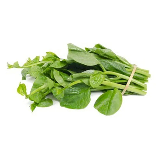 Malabar Spinach Climber Desi Seeds (Green) – ఆకుపచ్చ తీగ బచ్చలి ( Bachalakura )