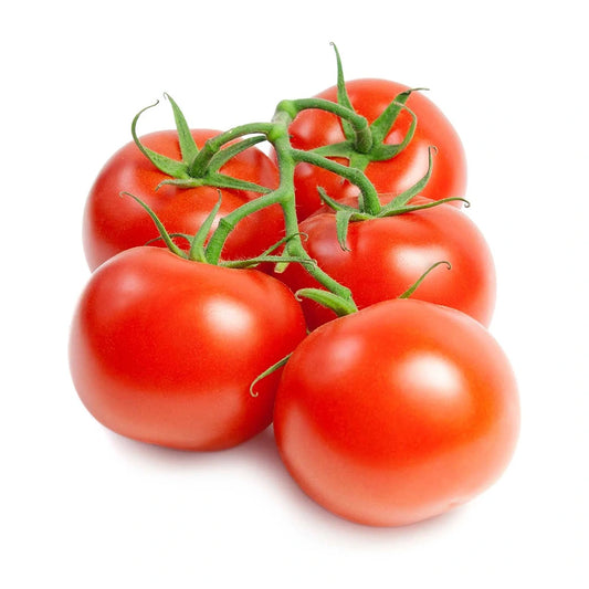 Regular Tomato (Desi Vegetable Seeds)