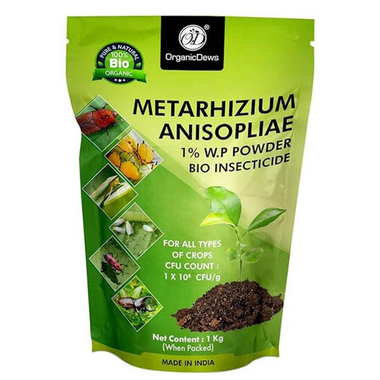 Meta Power – Metarhizium Anisopliae ( Organic Insect Controller) 1Kg Pack