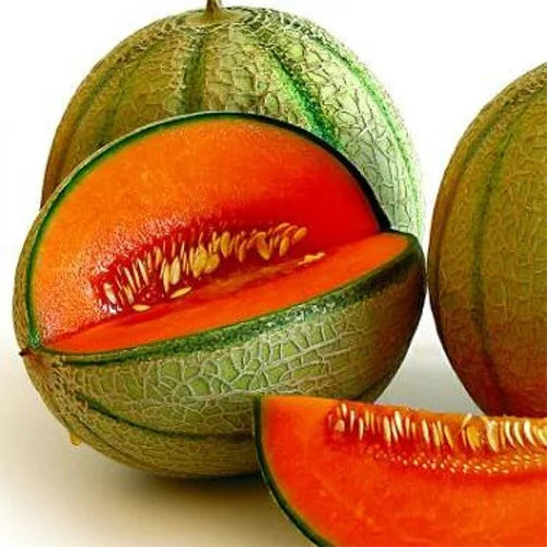 Muskmelon Red Seeds (Desi Seeds)