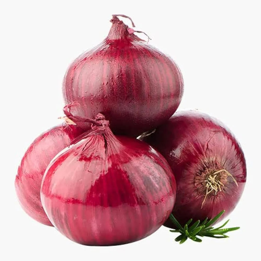 Buy Onion Red Seeds (Desi ) | Sam's Garden – SamsGardenStore