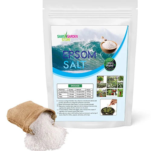 Organic Epsom Salt (950GMS)