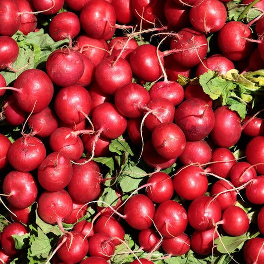 Radish Red Round Seeds (Desi Vegetable Seeds) ( Mullangi )