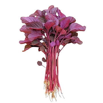 Red Amaranthus Seeds (Desi) ఎర్ర‌తోట‌కూర ( Thotakura )