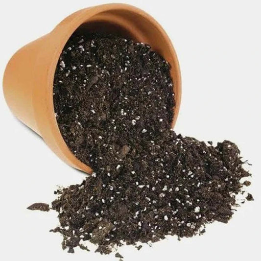 Seedling Potting Mix 5 kg