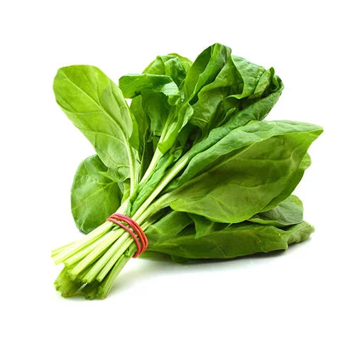 Spinach Green Seeds / Green Spinach ఆకుపచ్చ పాలకూర ( Palakura )