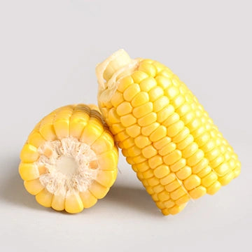 Sweet Corn Seeds