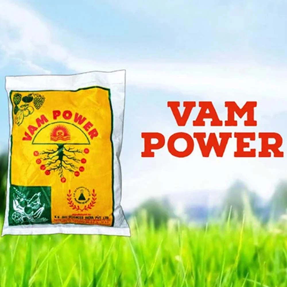 Vam Powder (Mycorrhizal Fungi Root VAM Powder)