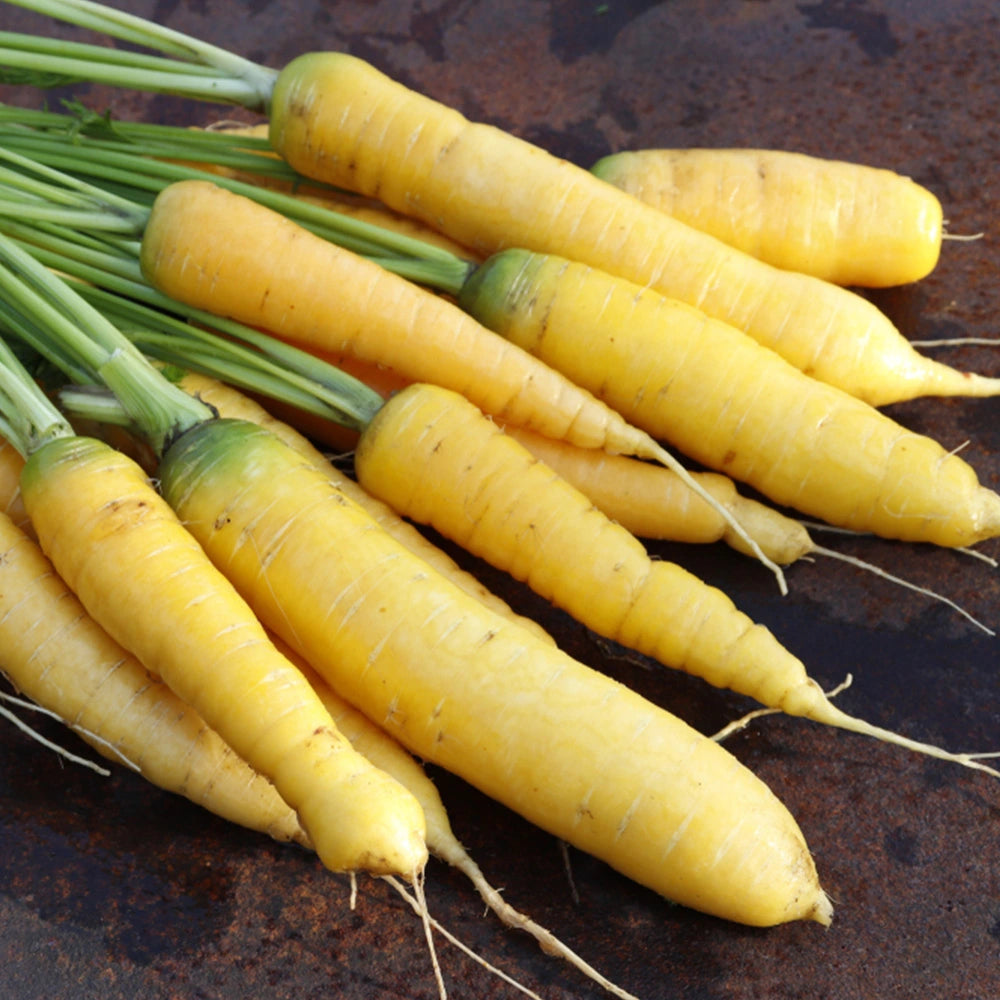 Yellow Carrot (Desi Seeds)