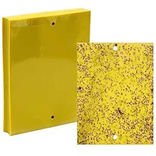 Yellow Sticky Traps – Stick-a-Fly (Pack of 3)