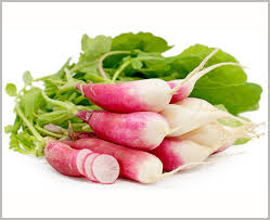 Radish Half Red Seeds (Desi Vegetable Seeds) ( Mullangi )