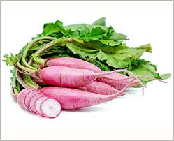 Radish Pink Seeds (desi Vegetable Seeds) ( Mullangi )