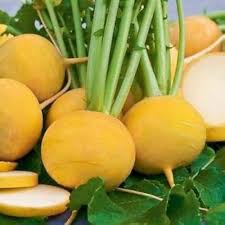 Turnip Yellow Seeds (Desi)