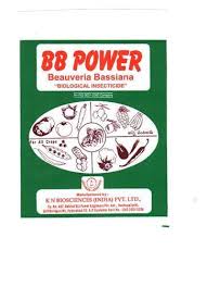 B.B. Power ( Organic Insect Control Beauvaria Bassiana) - 1Kg