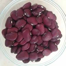 Lima Beans Purple Seeds (Desi) ( Chikkudukaya )