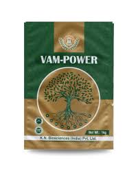 Vam Powder (Mycorrhizal Fungi Root VAM Powder)