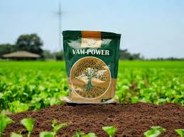 Vam Powder (Mycorrhizal Fungi Root VAM Powder)