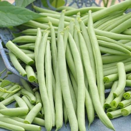 French Beans Desi Vegetable Seeds (White Seeds Chikkudukaya)
